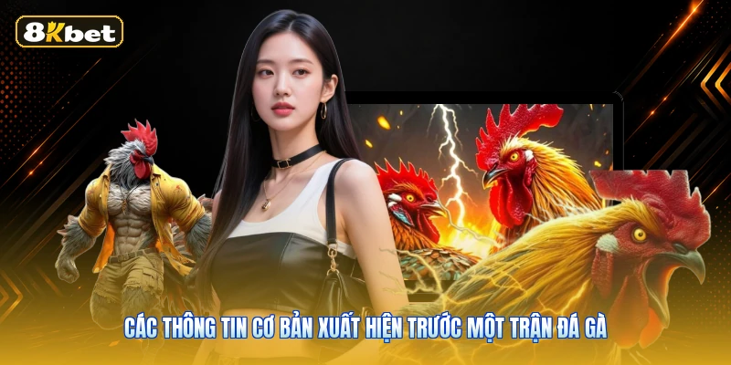 Các thông tin cơ bản xuất hiện trước một trận đá gà
