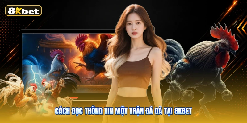 Cách Đọc Thông Tin Một Trận Đá Gà Tại 8KBET