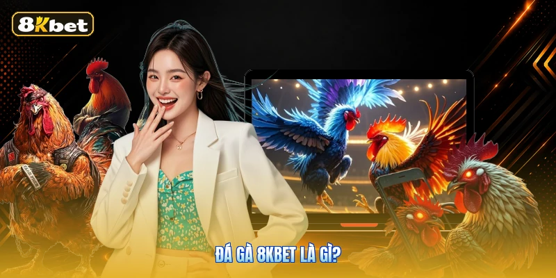 Đá gà 8KBET là gì?