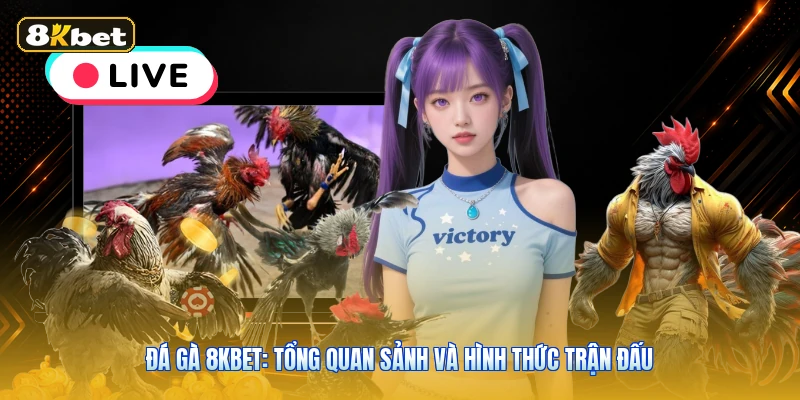Đá Gà 8KBET: Tổng Quan Sảnh Và Hình Thức Trận Đấu