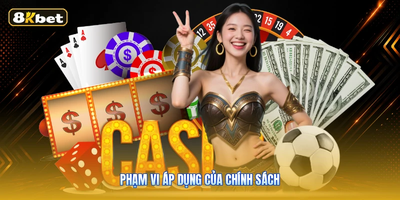 Phạm Vi Áp Dụng Của Chính Sách